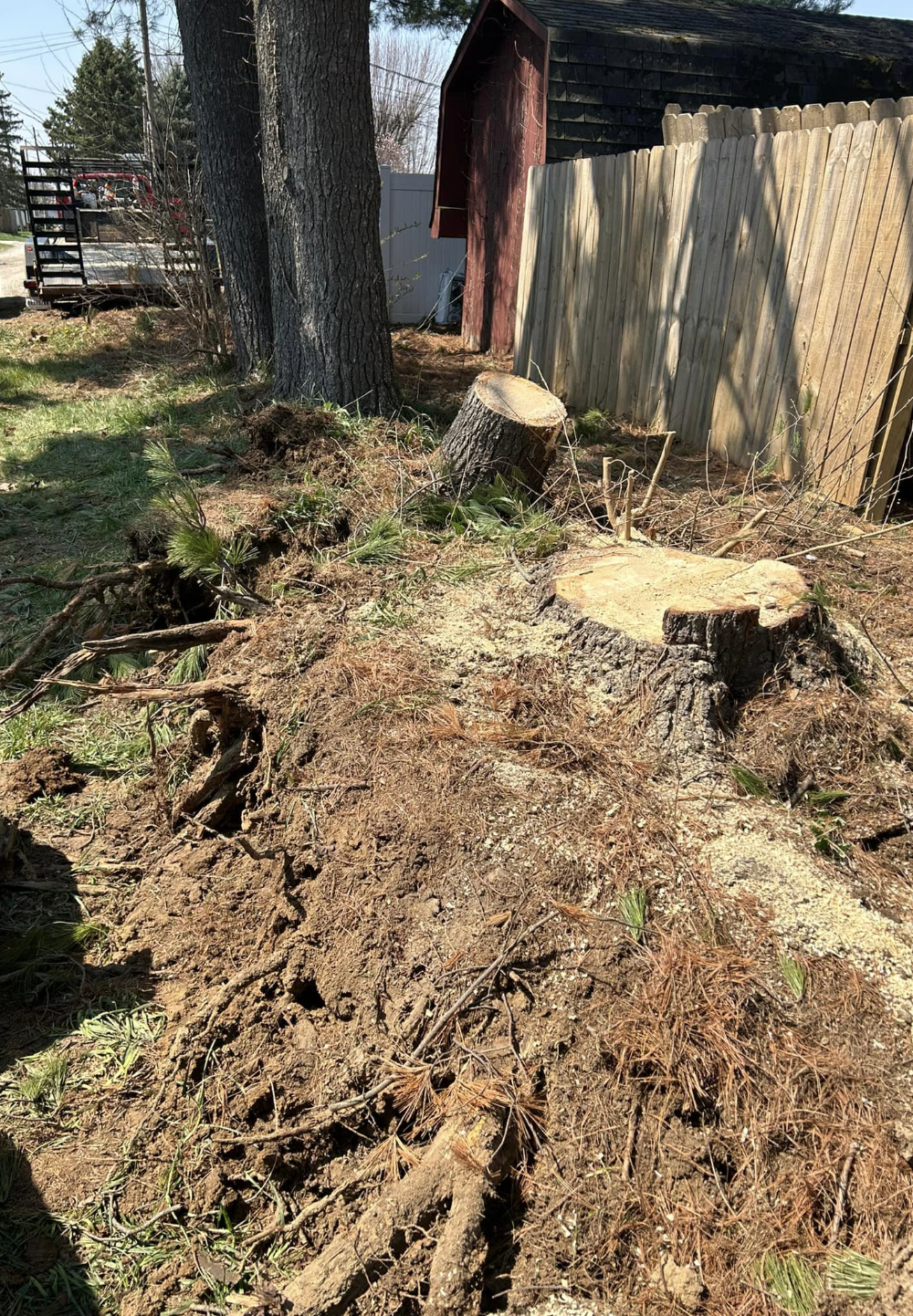 Lafayette Stump Grinding Service | Doin' It Wells