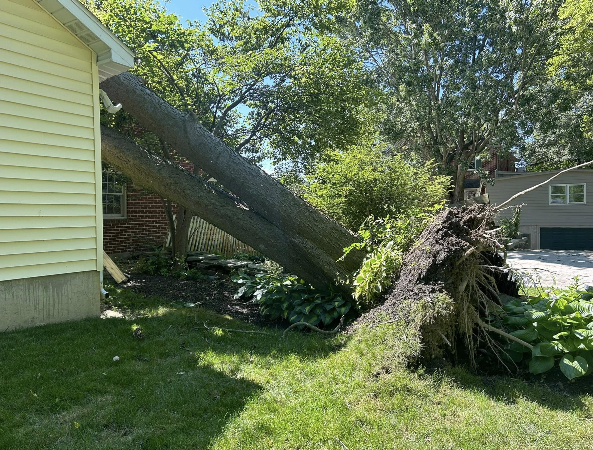 Lafayette Emergency Tree Service | Doin' It Wells